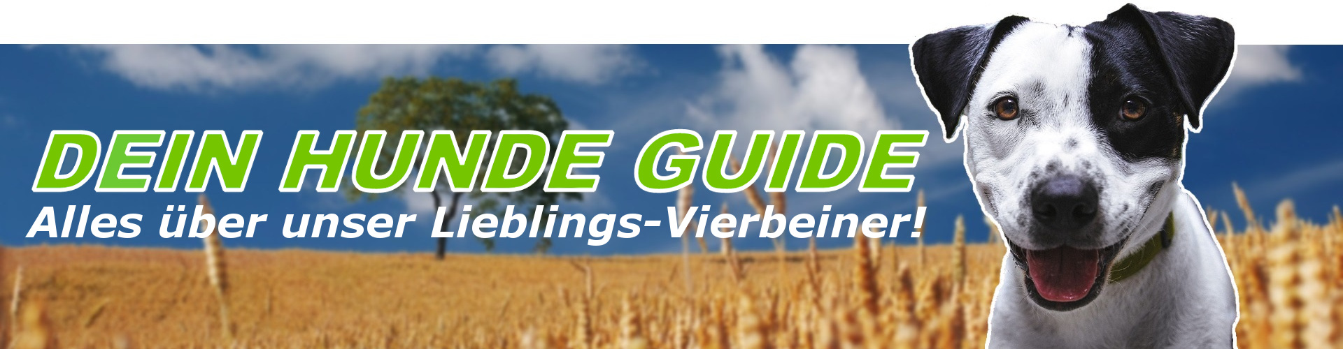 Hundeerziehung Logo